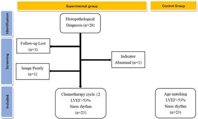 Assessment of left heart dysfunction to predict doxorubicin cardiotoxicity in children with lymphoma